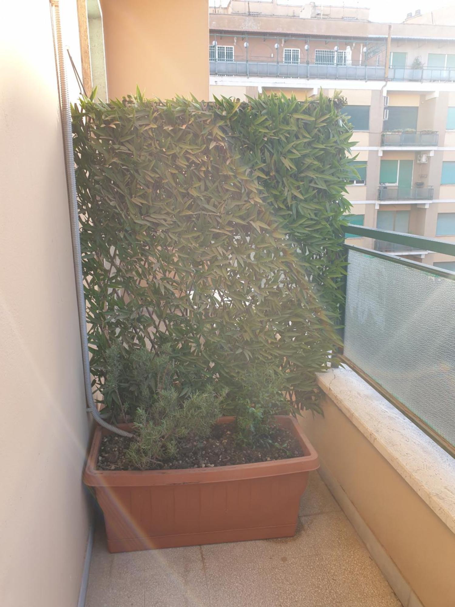 Holiday Max Rome Extérieur photo
